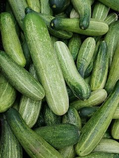 The Surprising Health Benefits of Cucumber Water 1 Benefits of Cucumber